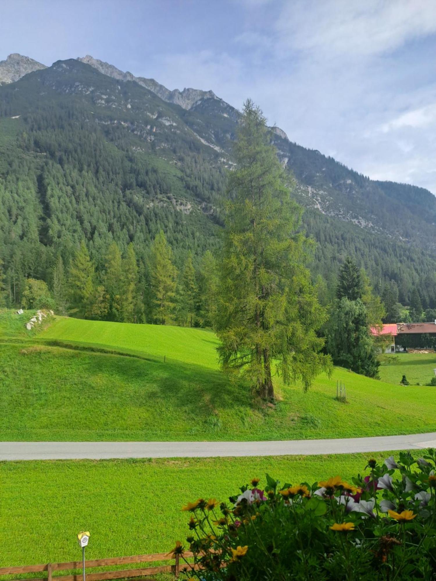 Landgasthaus Appartement Birkegg Leutasch Exterior foto